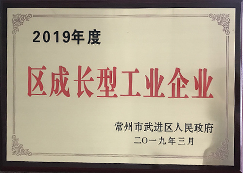 2019年度区成长型工业企业